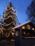 sapin